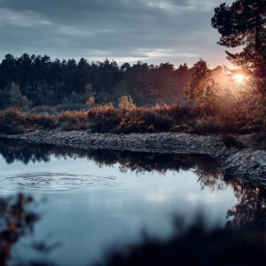 Een meertje in de vroege ochtend
