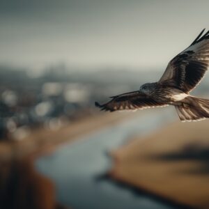 Valk boven een stad