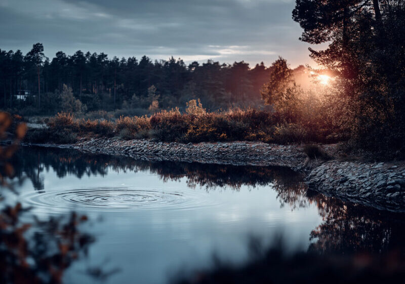 Een meertje in de vroege ochtend